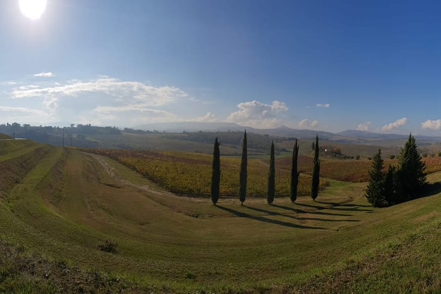 Fattoria del Cerro